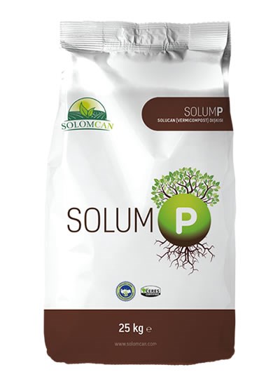 Solum P