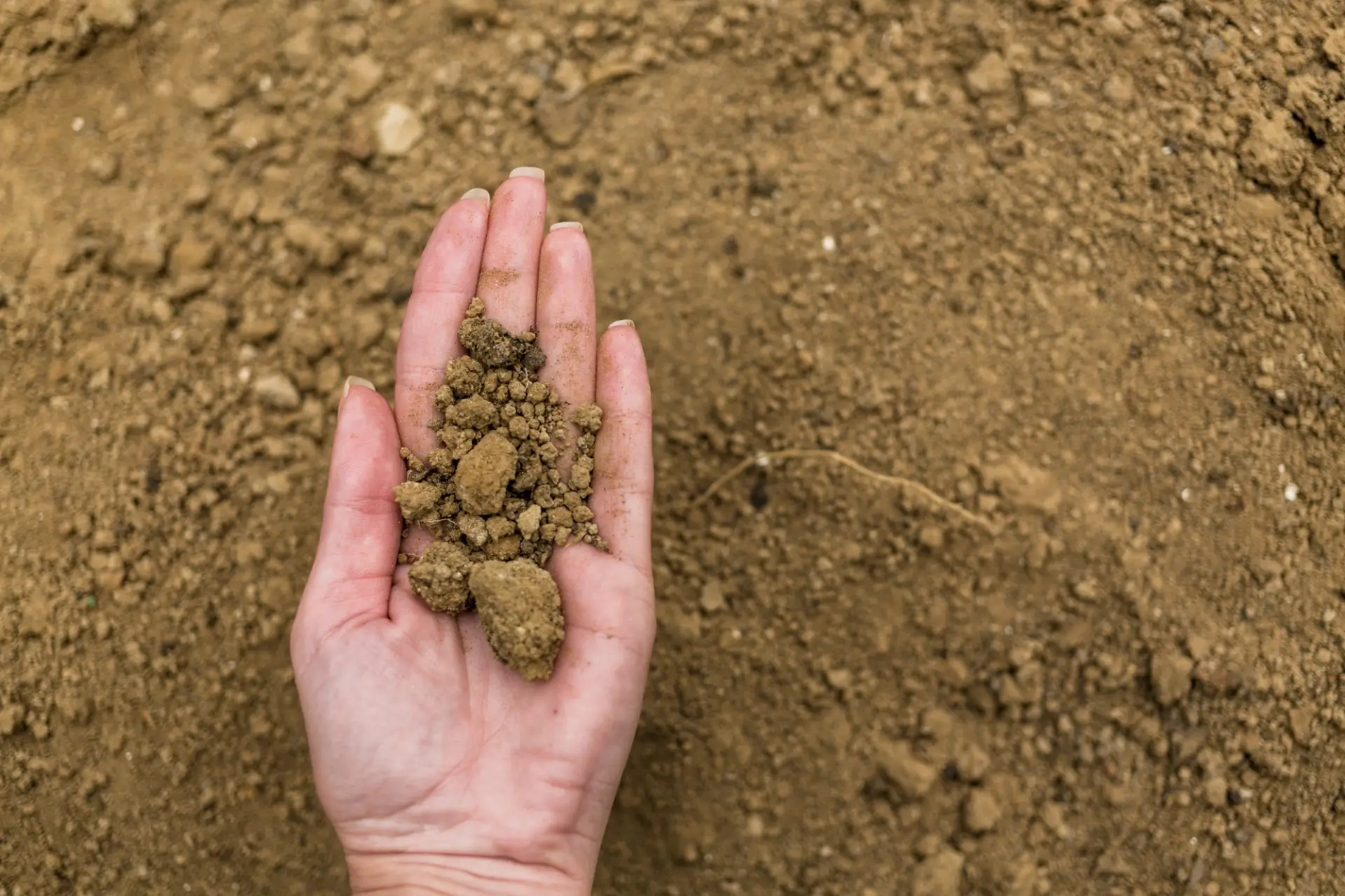 Toprak Islahı Nedir? Verimli ve Sağlıklı Tarımın Temel Anahtarı