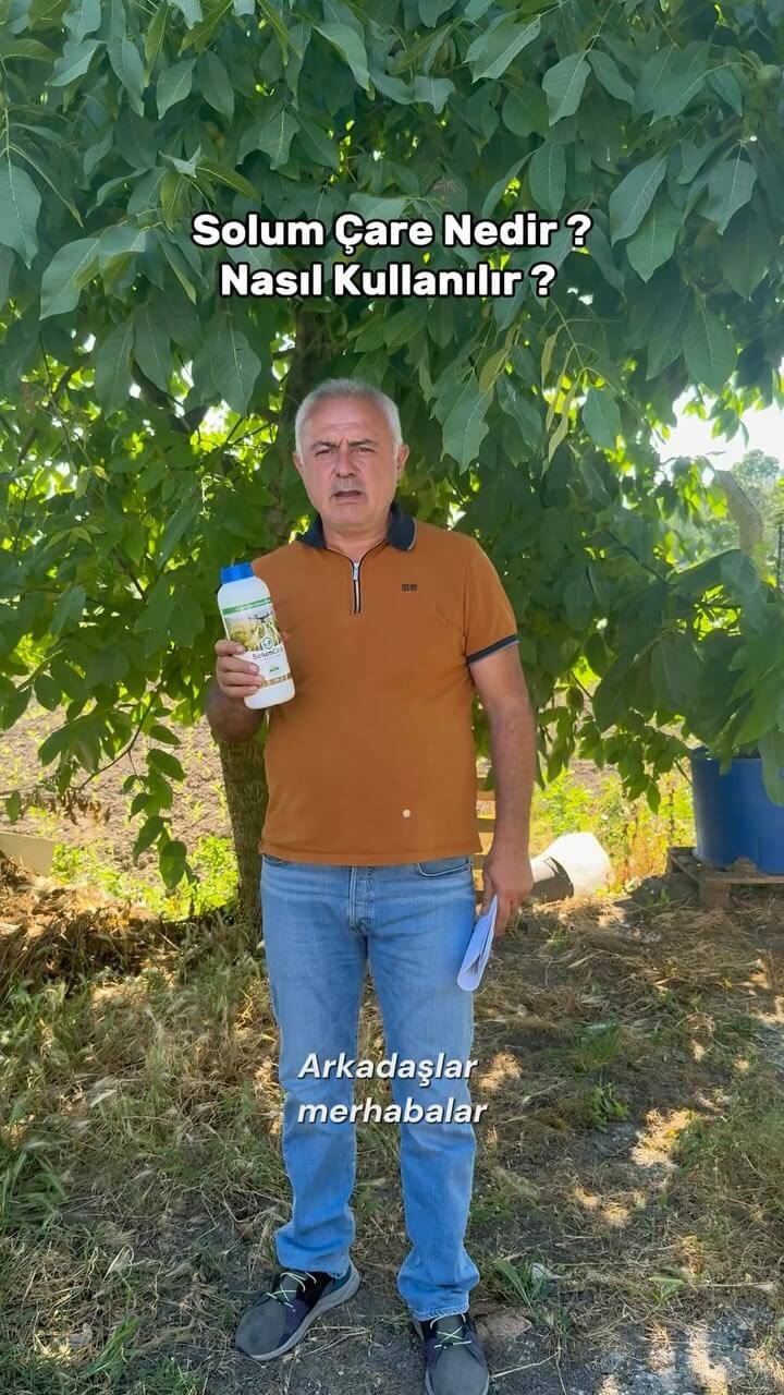 Solum Çare Nedir